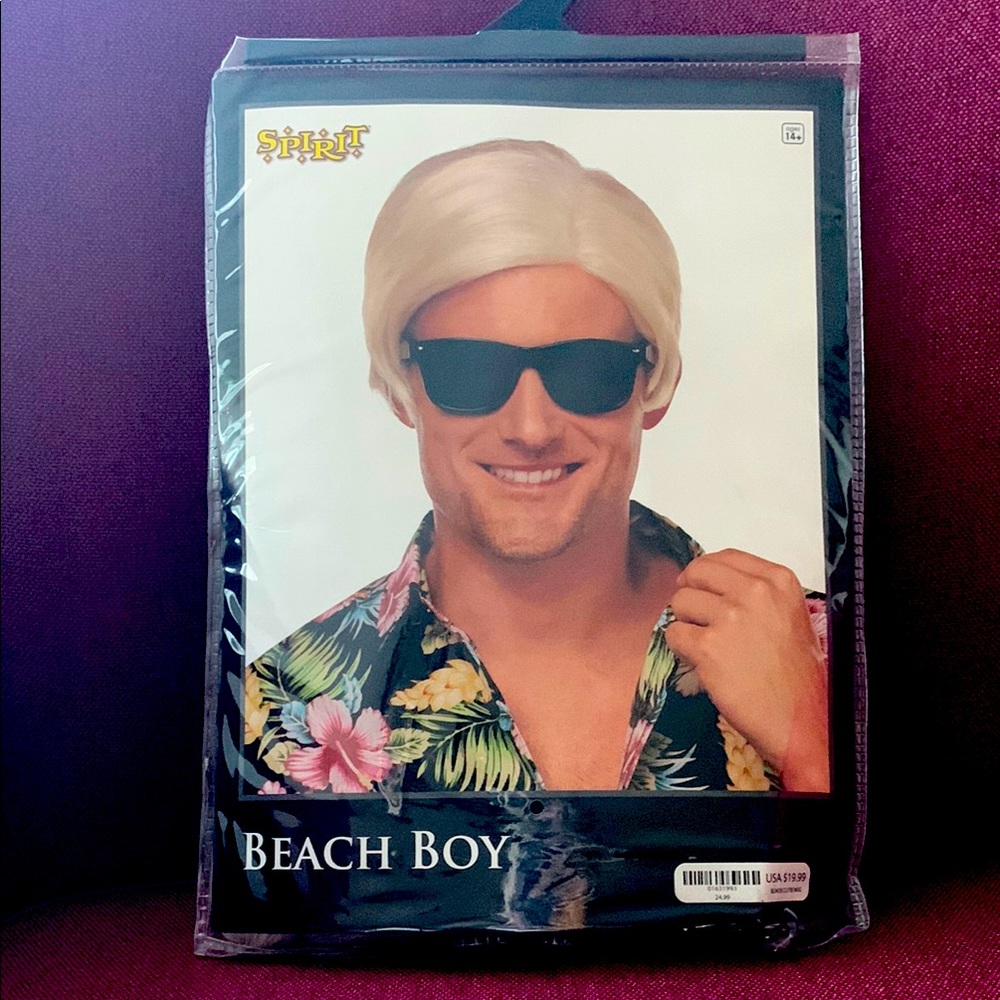Beach Boy Wig